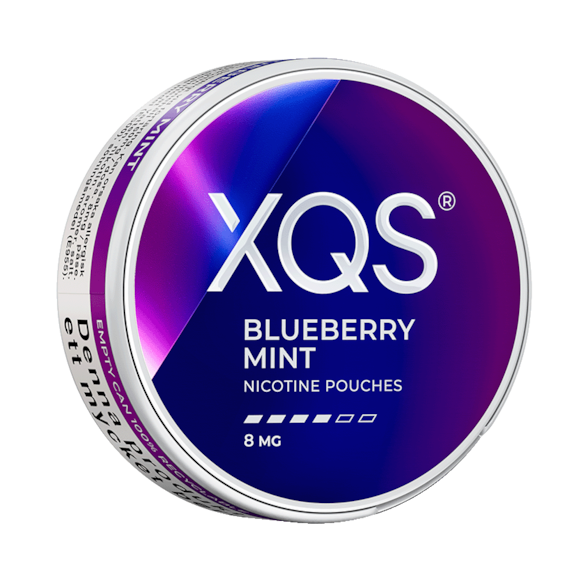 XQS Blueberry Mint 8mg