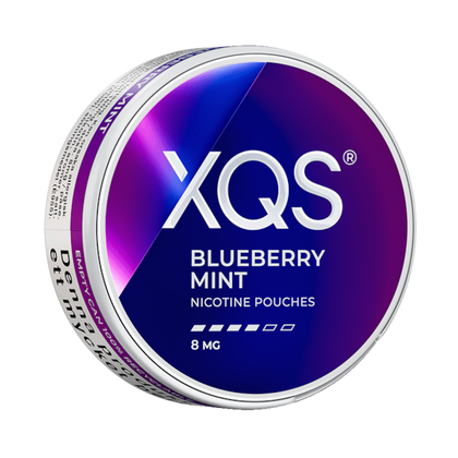 XQS Blueberry Mint 8mg