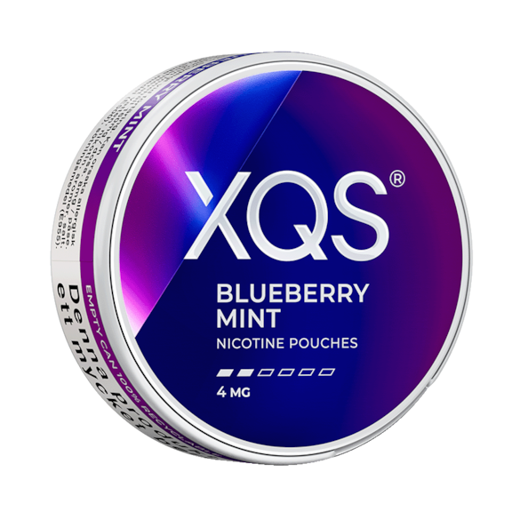 XQS Blueberry Mint 4mg